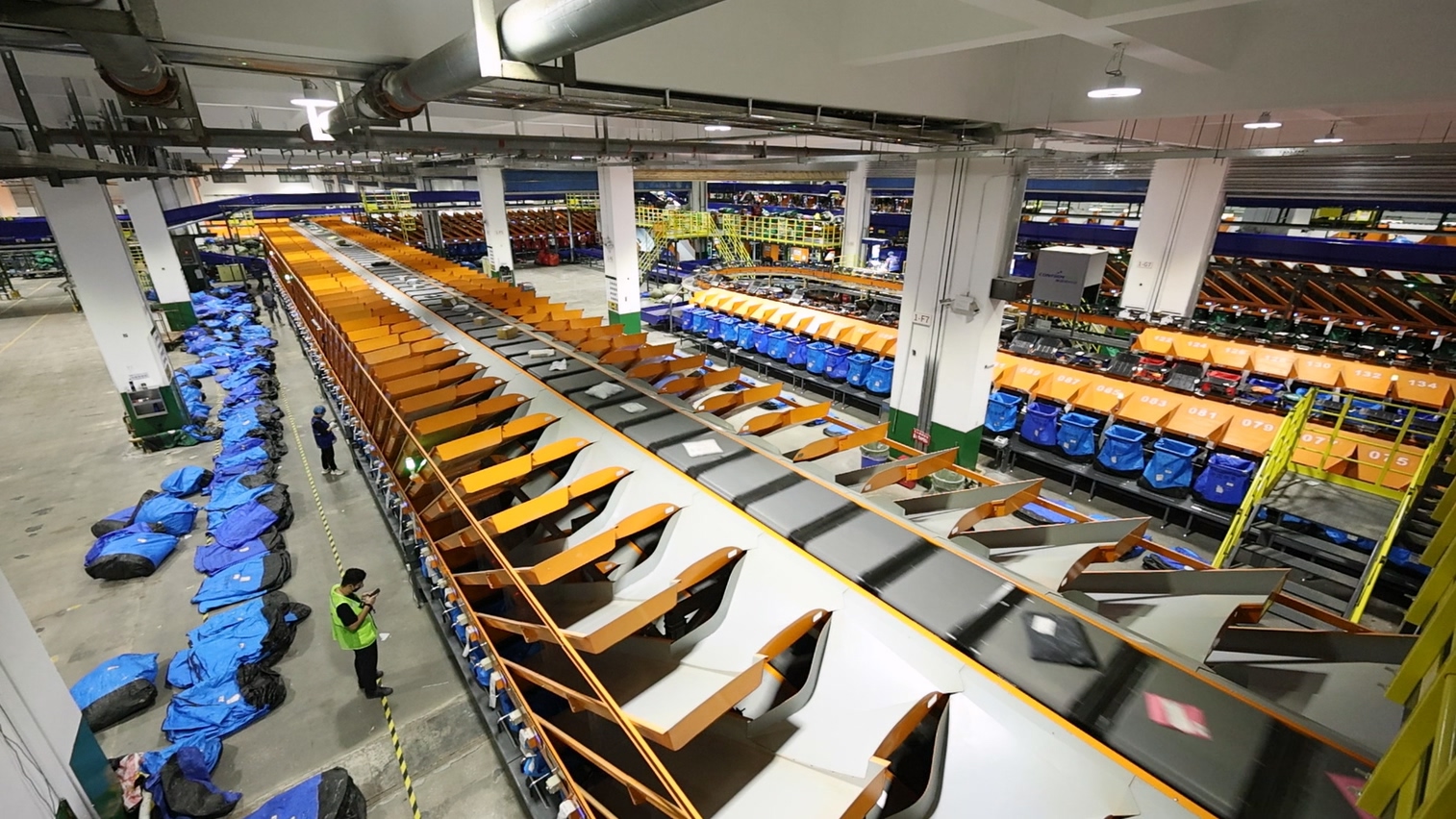 D05A2755.MP4 20241029 110155.